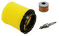 Air Filter Oil Filter NGK Spark Plug for Honda Fourtrax 300 2x4 4x4 TRX300 / FW