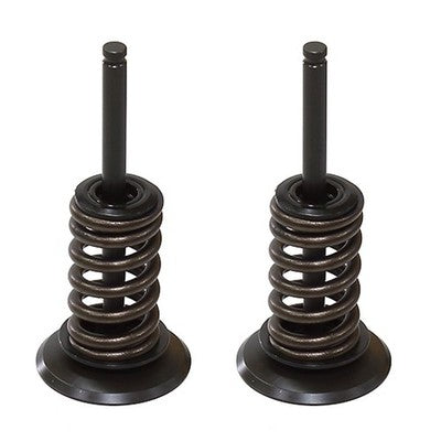 Solid Spare Psychic Intake Valve Kit for Kawasaki KX450F fits 2006 2007 2008 Models