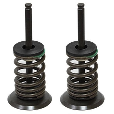 Solid Spare Psychic Intake Valve Kit for Suzuki RM-Z450 fits 2007 Model