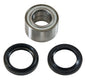Front Wheel Knuckle Bearing & Seal Kit for Suzuki King Quad 450 500 700 & 750