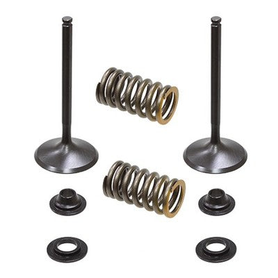 Solid Spare Psychic Intake Valve Kit for Yamaha YZ450F fits 2010 2011 2012 2013 Models