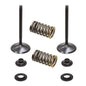 Solid Spare Psychic Intake Valve Kit for Yamaha YZ450F fits 2010 2011 2012 2013 Models