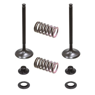Solid Spare Psychic Exhaust Valve Kit for Yamaha YZ450F fits 2010 2011 2012 2013 Models
