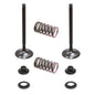 Solid Spare Psychic Exhaust Valve Kit for Yamaha YZ450F fits 2010 2011 2012 2013 Models