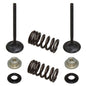 Solid Spare Psychic Exhaust Valve Kit for Suzuki RM-Z250 fits 2007-2015 Models