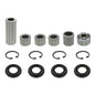 Solid Spare Upper OR Lower A Arm Bearing Kit for Kawasaki fits 1987 Tecate 250 KXF250
