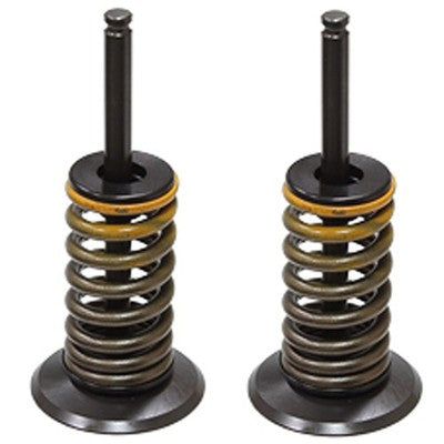 Solid Spare Psychic Intake Valve Kit for Yamaha YZ450F fits 2010 2011 2012 2013 Models