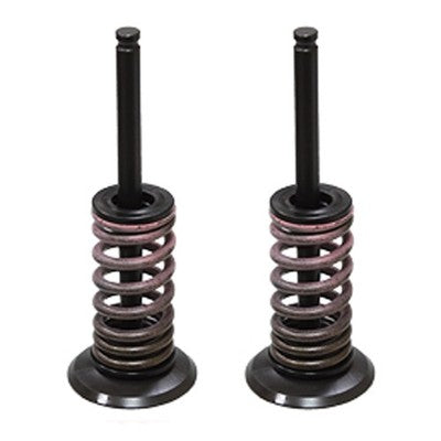 Solid Spare Psychic Exhaust Valve Kit for Yamaha 2014-2018 YZ450F/YZ450FX & 2016-2018 WR450F