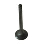 Bronco Engine Exhaust Valve fits Honda 1997-03 XR70R 2004-12 CRF70F 1991-94 CT70