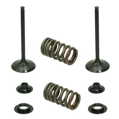 Solid Spare Psychic Exhaust Valve Kit for Honda CRF450R fits 2002 2003 2004 2005 2006 Models