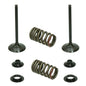 Solid Spare Psychic Exhaust Valve Kit for Honda CRF450R fits 2002 2003 2004 2005 2006 Models