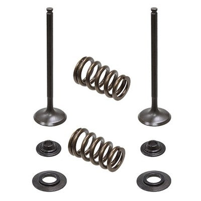 Solid Spare Psychic Exhaust Valve Kit for KTM 2005-2007 250 SX-F, 2007 250 EXC-F & 250 XC-F