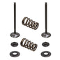 Solid Spare Psychic Exhaust Valve Kit for KTM 2005-2007 250 SX-F, 2007 250 EXC-F & 250 XC-F