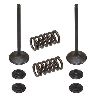 Solid Spare Psychic Intake Valve Kit for KTM fits 2008-2013 250 SX-F & 250 EXC-F