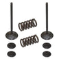 Solid Spare Psychic Intake Valve Kit for KTM fits 2008-2013 250 SX-F & 250 EXC-F