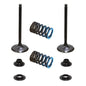 Solid Spare Psychic Intake Valve Kit for Yamaha YZ250F, YZ250FX & WR250F SEE YEARS