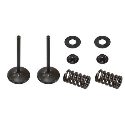 Solid Spare Psychic Intake Valve Kit for Kawasaki KX450F fits 2006 2007 2008 Models