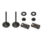 Solid Spare Psychic Intake Valve Kit for Kawasaki KX450F fits 2006 2007 2008 Models