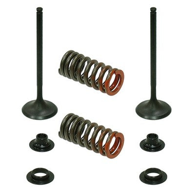 Solid Spare Psychic Exhaust Valve Kit for Honda CRF250R fits 2008-2009 Models