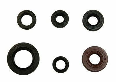 Namura Engine Oil Seal Kit for Honda TRX300EX & TRX300X Sportrax fits 1993-2009