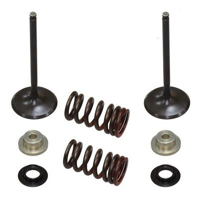Solid Spare Psychic Intake Valve Kit for Suzuki RM-Z250 fits 2010 2011 2012 2013 2014 2015