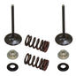Solid Spare Psychic Intake Valve Kit for Suzuki RM-Z250 fits 2010 2011 2012 2013 2014 2015