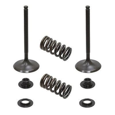 Solid Spare Psychic Intake Valve Kit for KTM 2012-2019 350 EXC-F & 2012-2016 350 XCF-W
