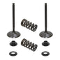 Solid Spare Psychic Intake Valve Kit for KTM 2012-2019 350 EXC-F & 2012-2016 350 XCF-W