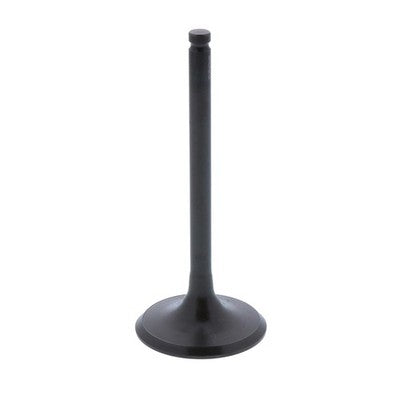 Bronco Engine Intake Valve for Honda Foreman 400 4x4 fits 1995-2003 TRX400FW