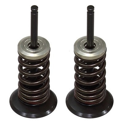 Solid Spare Psychic Intake Valve Kit for Suzuki RM-Z250 fits 2007 2008 2009 Models