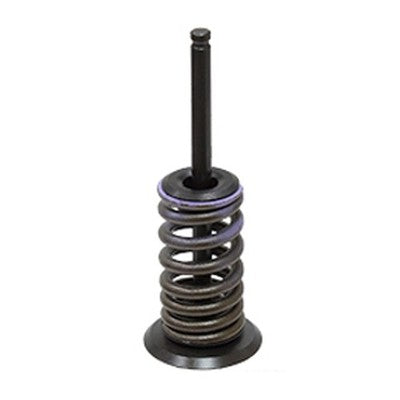 Solid Spare Psychic Intake Valve Kit for Honda CRF150F fits 2006-2017 Models