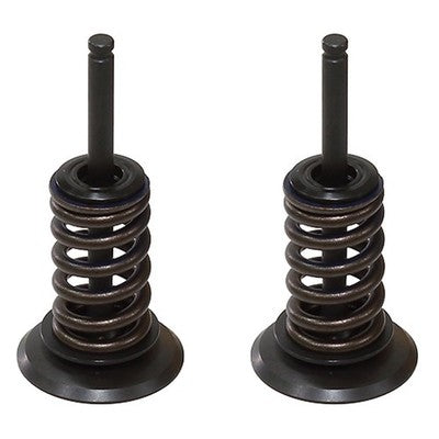 Solid Spare Psychic Intake Valve Kit for Kawasaki KX450F fits 2009-2015 Models