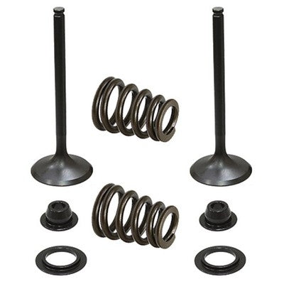 Solid Spare Psychic Intake Valve Kit for KTM fits some 2003-2006 450, 525, 540 & 560 Models