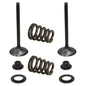 Solid Spare Psychic Intake Valve Kit for KTM fits some 2003-2006 450, 525, 540 & 560 Models