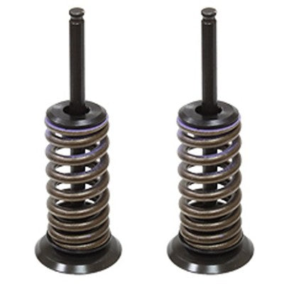Solid Spare Psychic Intake Valve Kit for Honda CRF150R & CRF150RB Expert fits 2007-2023