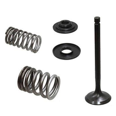 Solid Spare Psychic Exhaust Valve Kit for Yamaha fits many TW200 Trailway 200, XT225 & XT250