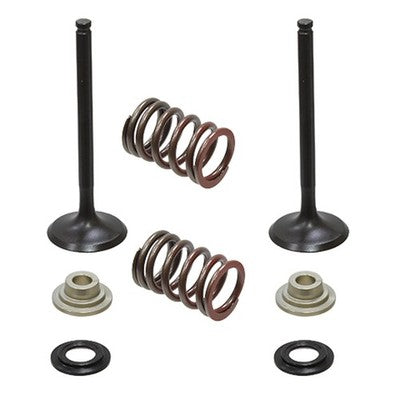 Solid Spare Psychic Exhaust Valve Kit for Suzuki RM-Z450 fits 2007 Model
