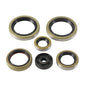 Namura Engine Oil Seal Kit for KTM 125 SX & 150 SX fits 2016-2024 Models