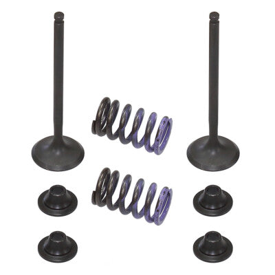 Solid Spare Psychic Exhaust Valve Kit for Yamaha YZ250F, YZ250FX & WR250F SEE YEARS