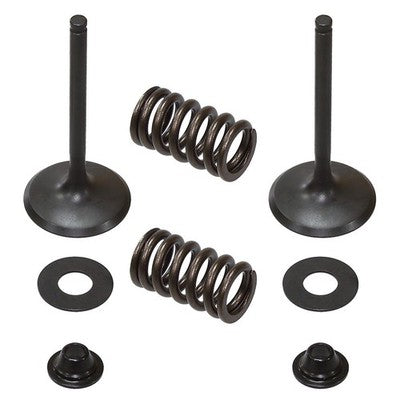 Solid Spare Psychic Intake Valve Kit for Kawasaki KX450F fits 2009-2015 Models