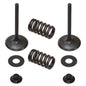 Solid Spare Psychic Intake Valve Kit for Kawasaki KX450F fits 2009-2015 Models