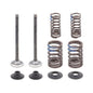 Solid Spare Psychic Exhaust Valve Kit for Honda CRF250F fits 2019-2025 Models - XU-09567EK