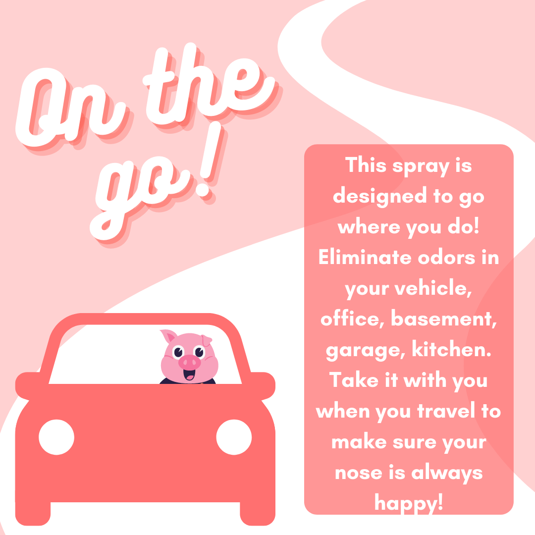 Solid Spare 2 Pack - Happy Nose! Air Freshener & Odor Remover Spray - Abby's Apple Orchard