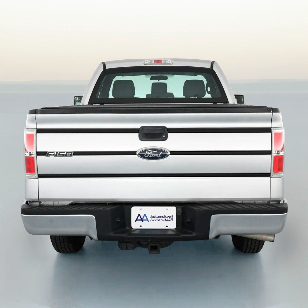 TAILGATE TRIM STRIPE KIT For FORD F150 09 10 11 12 13 14 Many Color Choices