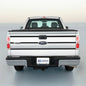 TAILGATE TRIM STRIPE KIT For FORD F150 09 10 11 12 13 14 Many Color Choices