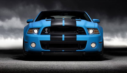 10" VINYL RALLY STRIPES RACING STRIPE KIT (2) 10" x 70" STRIPES For FORD MUSTANG