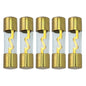 AGU Fuse 30A Gold Glass Inline for Car Auto Audio Stereo Amplifier Protection