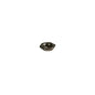 Solid Spare Kohler M-647060-S Lock Nut M6X1.0