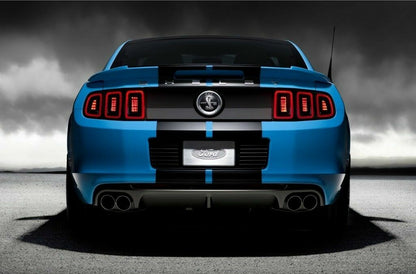 10" BLACK CARBON FIBER VINYL RALLY STRIPES RACING STRIPE For FORD MUSTANG COBRA