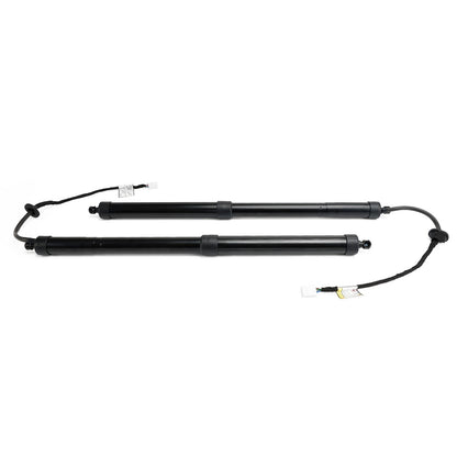 2PCS Rear Tailgate Hatch Lift Support 6892042020 fit Toyota RAV4 2019-2022